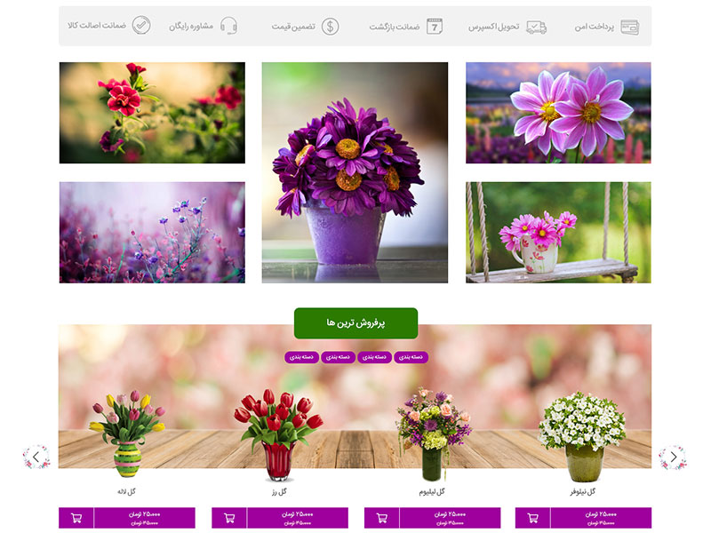 طراحی سایت گل گینه 